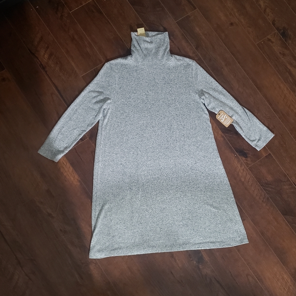 AE Soft and Sexy Plush Sweater Dress